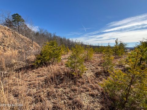 Tiny photo for W Mountain Drive, Rockwood, TN 37854 (MLS # 1329356)