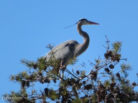 Tiny photo for W Mountain Drive, Rockwood, TN 37854 (MLS # 1329356)