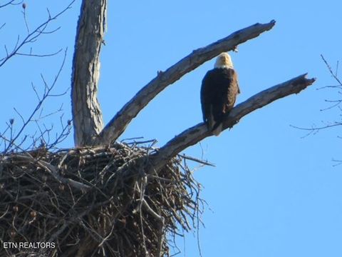 Tiny photo for W Mountain Drive, Rockwood, TN 37854 (MLS # 1329356)