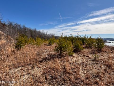 Tiny photo for W Mountain Drive, Rockwood, TN 37854 (MLS # 1329356)