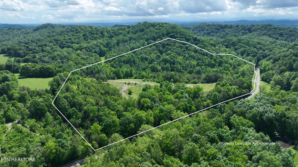 Photo of 235 Acorn Gap Rd, Sweetwater, TN 37874 (MLS # 1299870)
