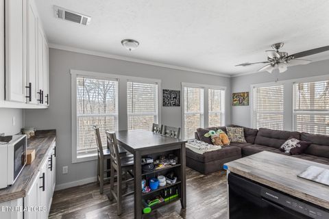 Tiny photo for 438 County Road 188, Decatur, TN 37322 (MLS # 1329709)