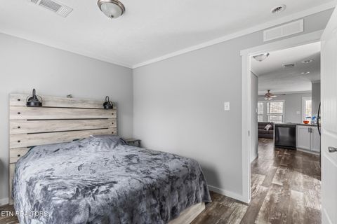 Tiny photo for 438 County Road 188, Decatur, TN 37322 (MLS # 1329709)