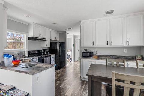 Tiny photo for 438 County Road 188, Decatur, TN 37322 (MLS # 1329709)