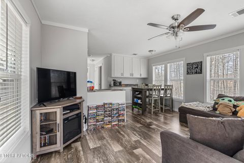 Tiny photo for 438 County Road 188, Decatur, TN 37322 (MLS # 1329709)