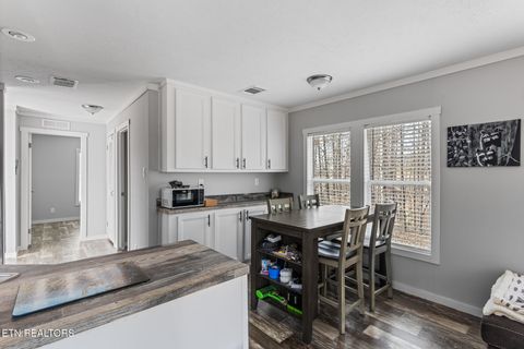 Tiny photo for 438 County Road 188, Decatur, TN 37322 (MLS # 1329709)