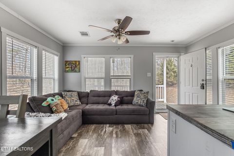 Tiny photo for 438 County Road 188, Decatur, TN 37322 (MLS # 1329709)