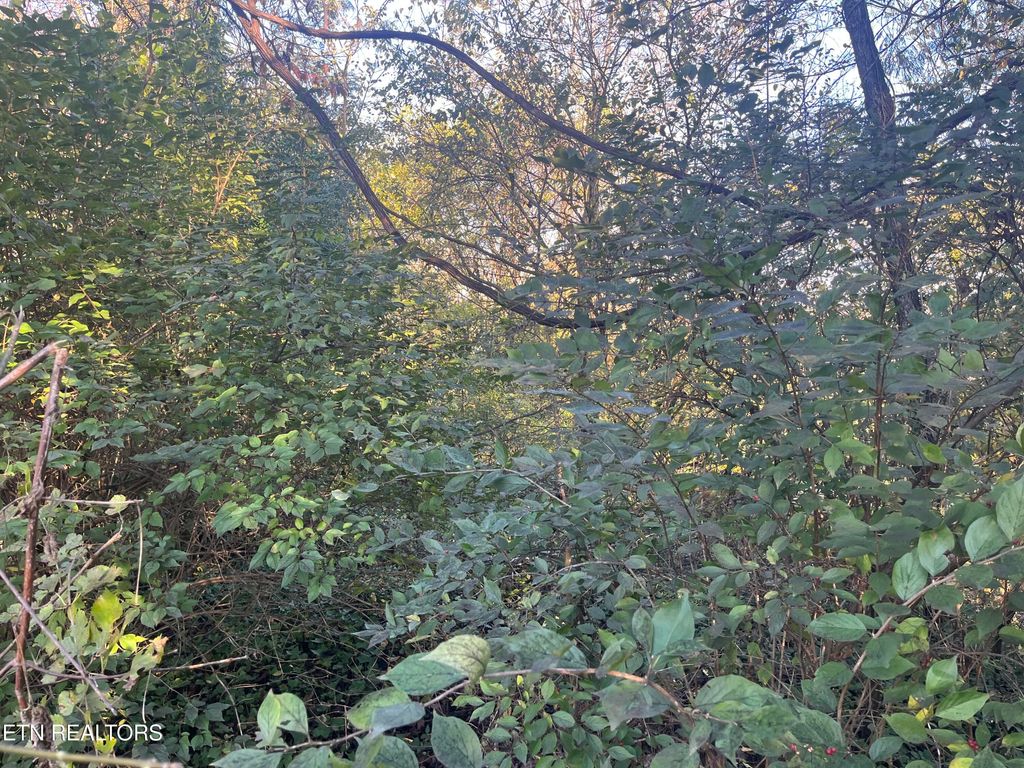 Photo of 2917 Brooks Ave, Knoxville, TN 37914 (MLS # 1349739)