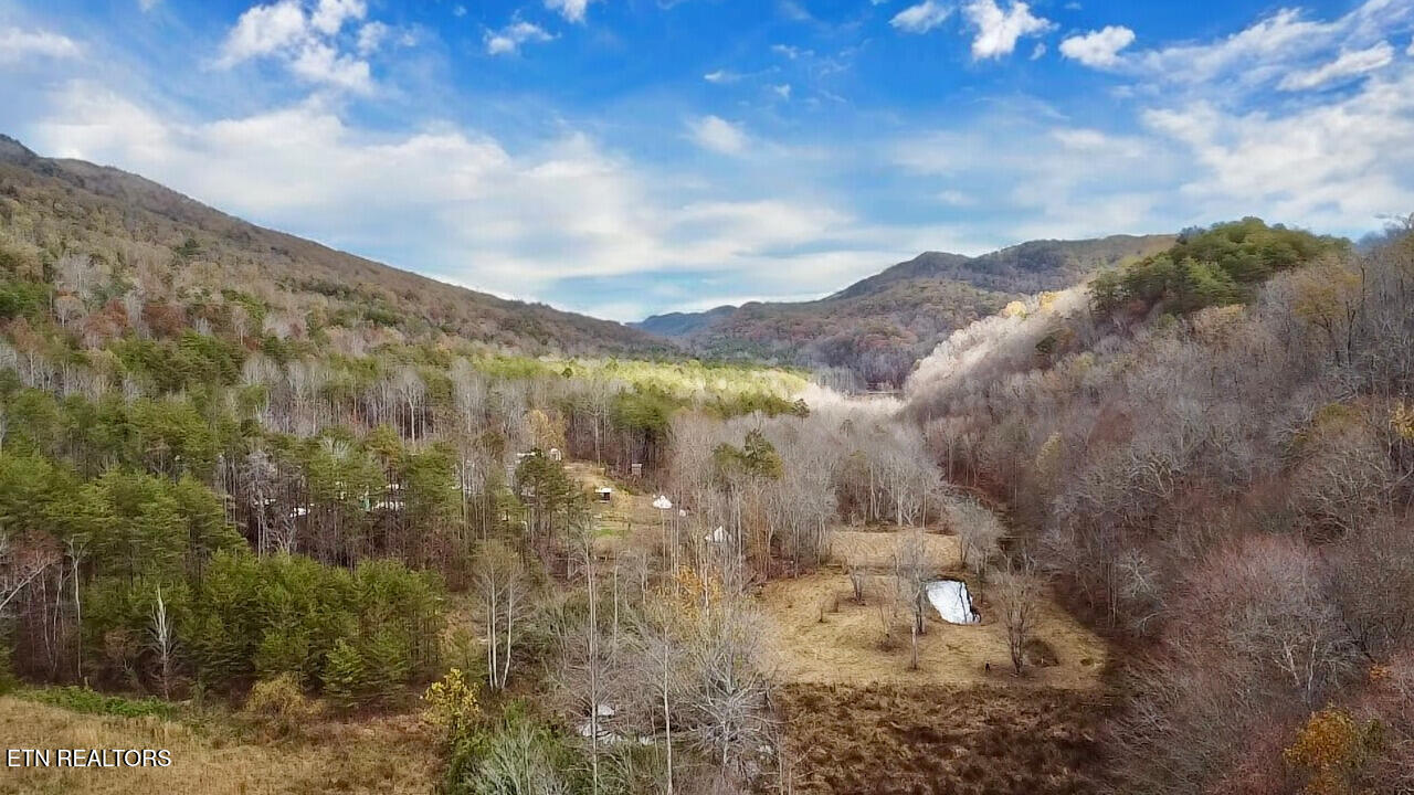 1693 Steve Brown Rd