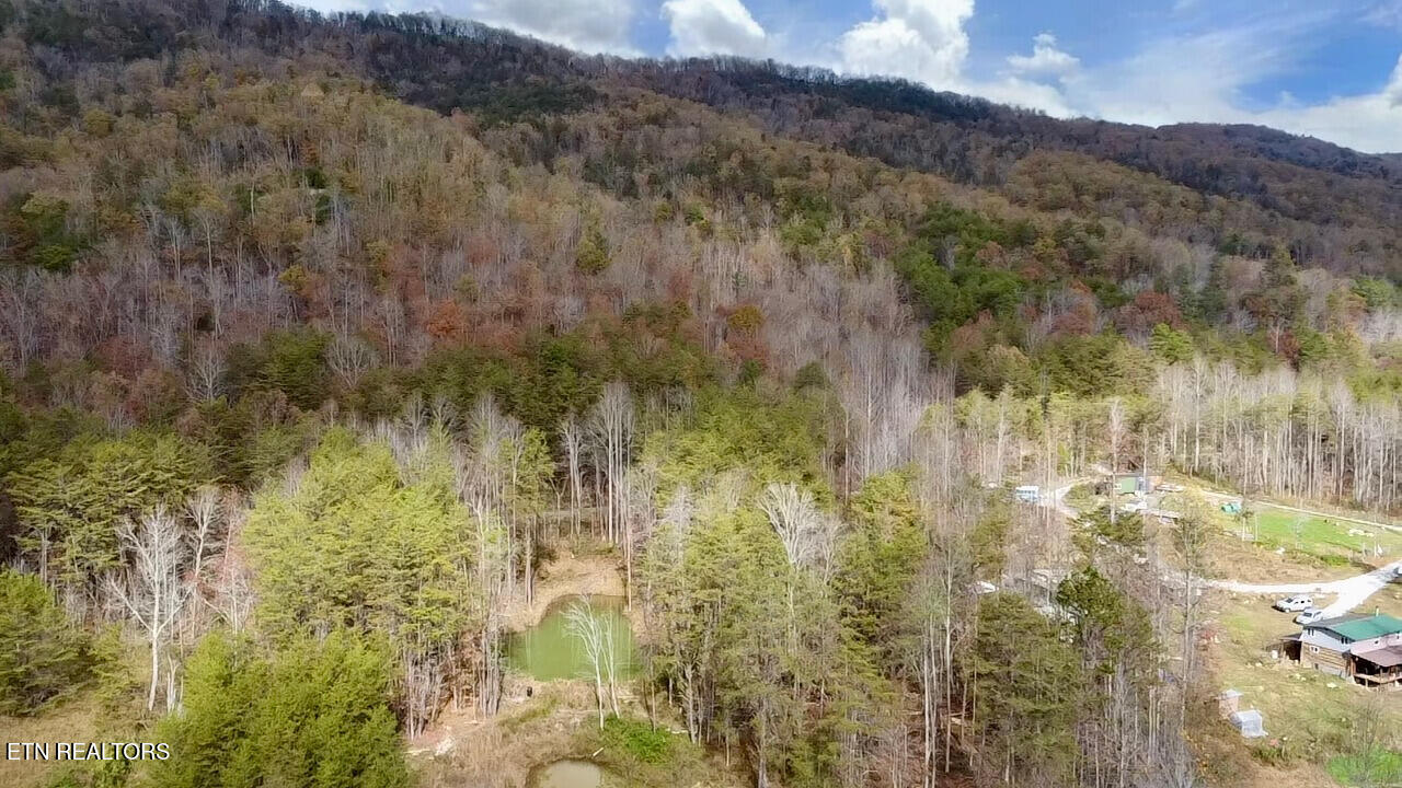 1693 Steve Brown Rd