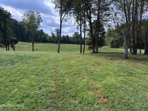 Tiny photo for 402 Stout Town Rd, Blaine, TN 37709 (MLS # 1355572)