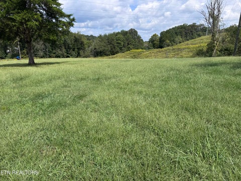 Tiny photo for 402 Stout Town Rd, Blaine, TN 37709 (MLS # 1355572)