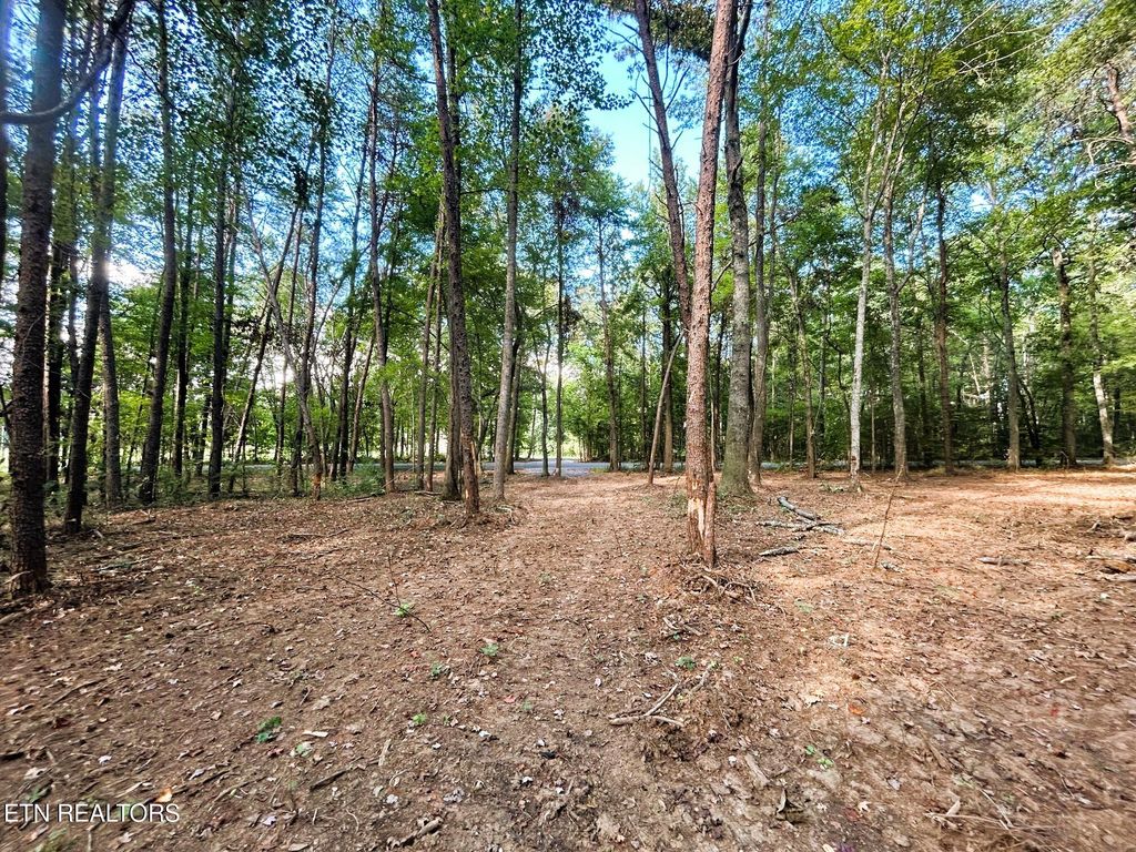 Photo of 5 Pleasant Hill Road, Ten Mile, TN 37880 (MLS # 1310724)