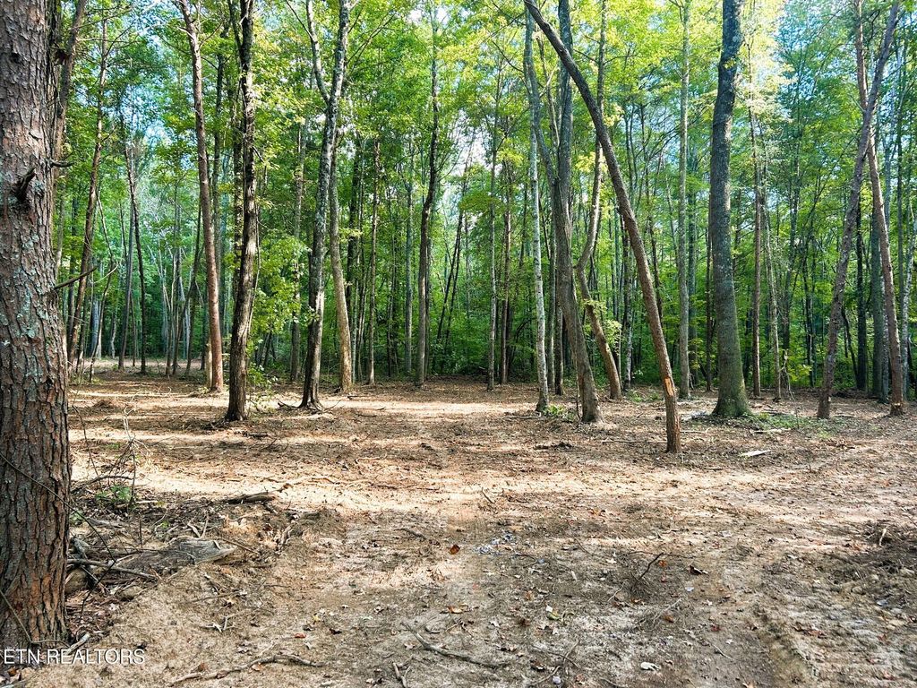 Photo of 5 Pleasant Hill Road, Ten Mile, TN 37880 (MLS # 1310724)