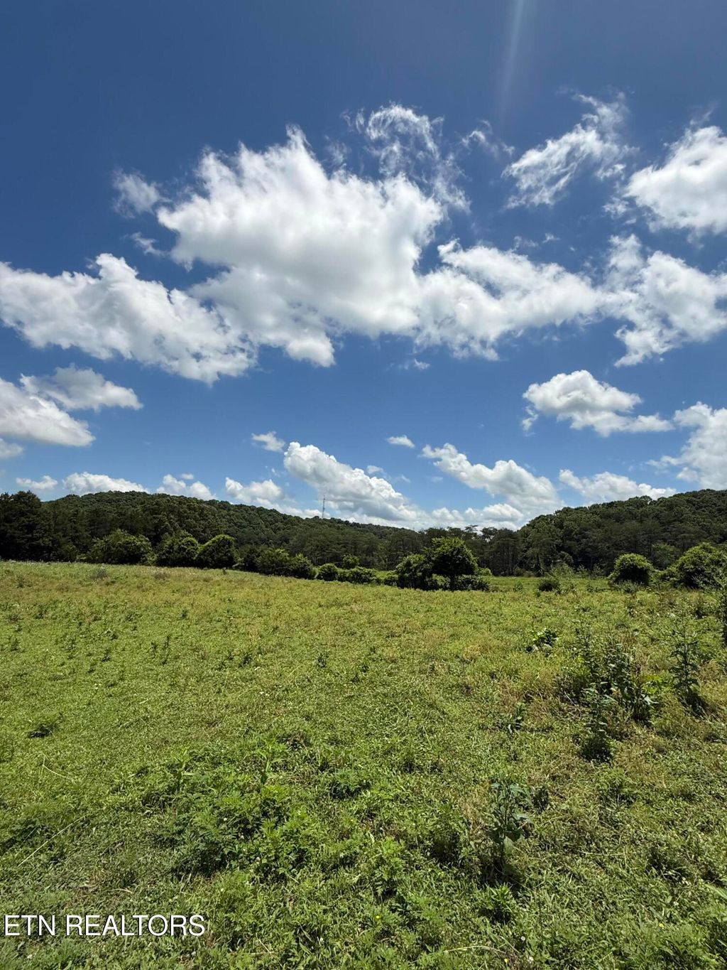 Photo of 0 Newman Lane, Blaine, TN 37709 (MLS # 1305144)