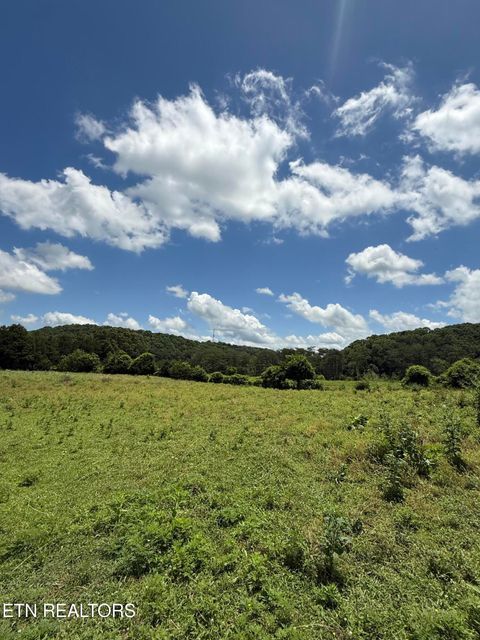 0 Newman Lane Blaine TN 37709