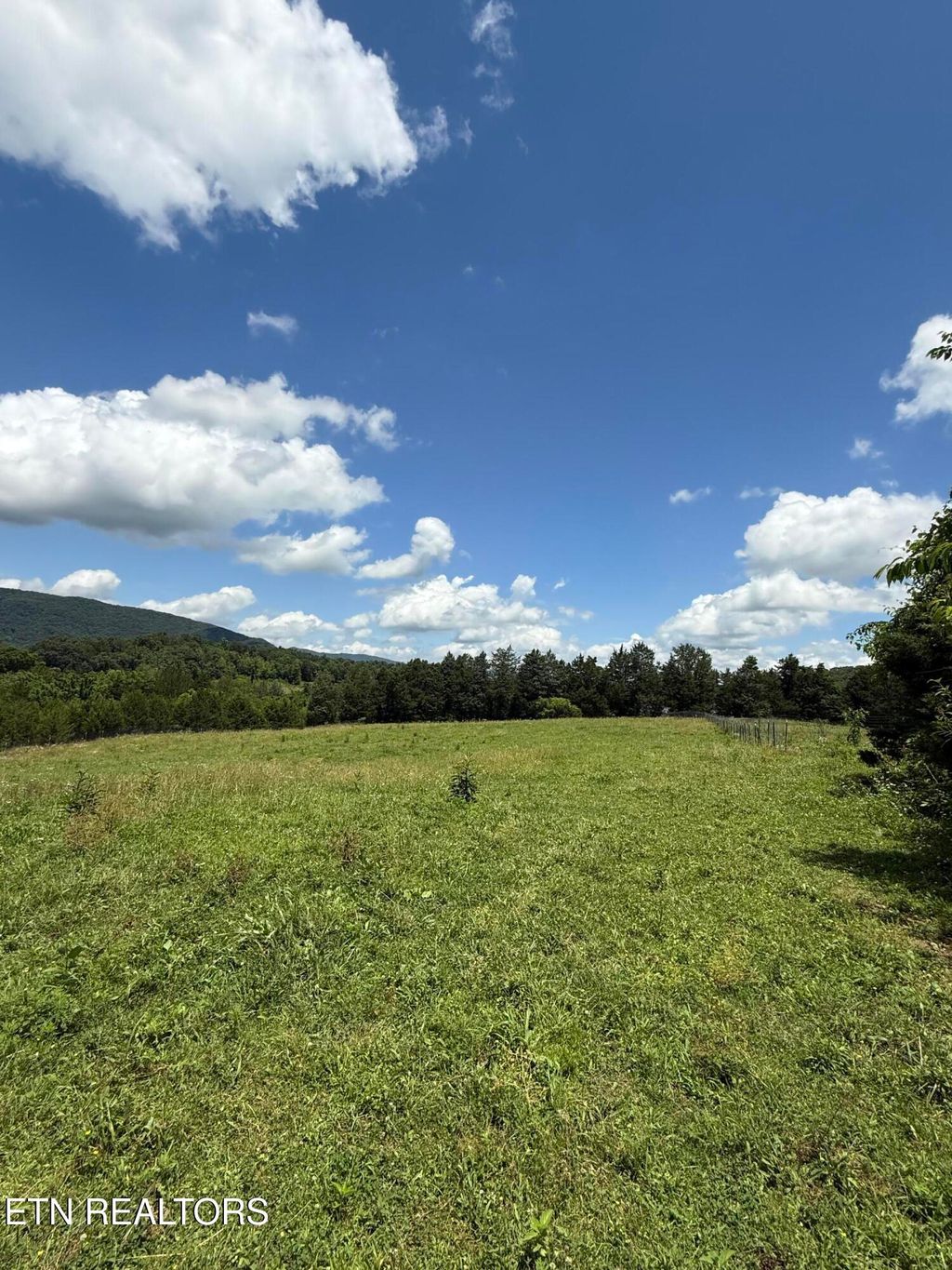 Photo of 0 Newman Lane, Blaine, TN 37709 (MLS # 1305144)