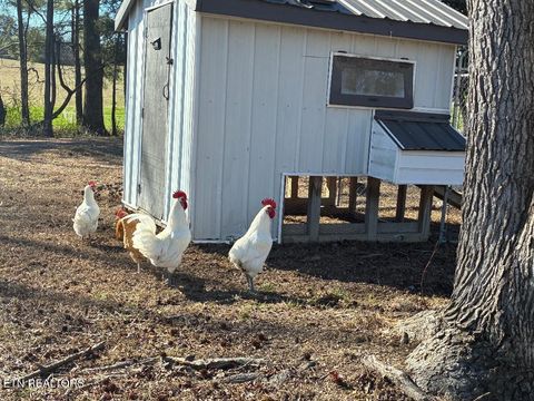 Tiny photo for 340 Hidden Pine Trail Trl, Dayton, TN 37321 (MLS # 1327526)