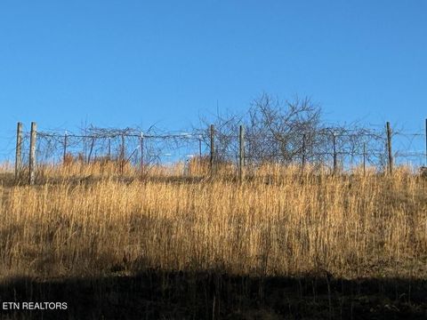 Tiny photo for 340 Hidden Pine Trail Trl, Dayton, TN 37321 (MLS # 1327526)