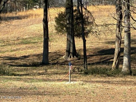 Tiny photo for 340 Hidden Pine Trail Trl, Dayton, TN 37321 (MLS # 1327526)