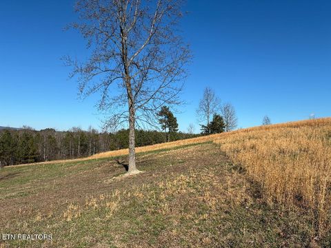 Tiny photo for 340 Hidden Pine Trail Trl, Dayton, TN 37321 (MLS # 1327526)