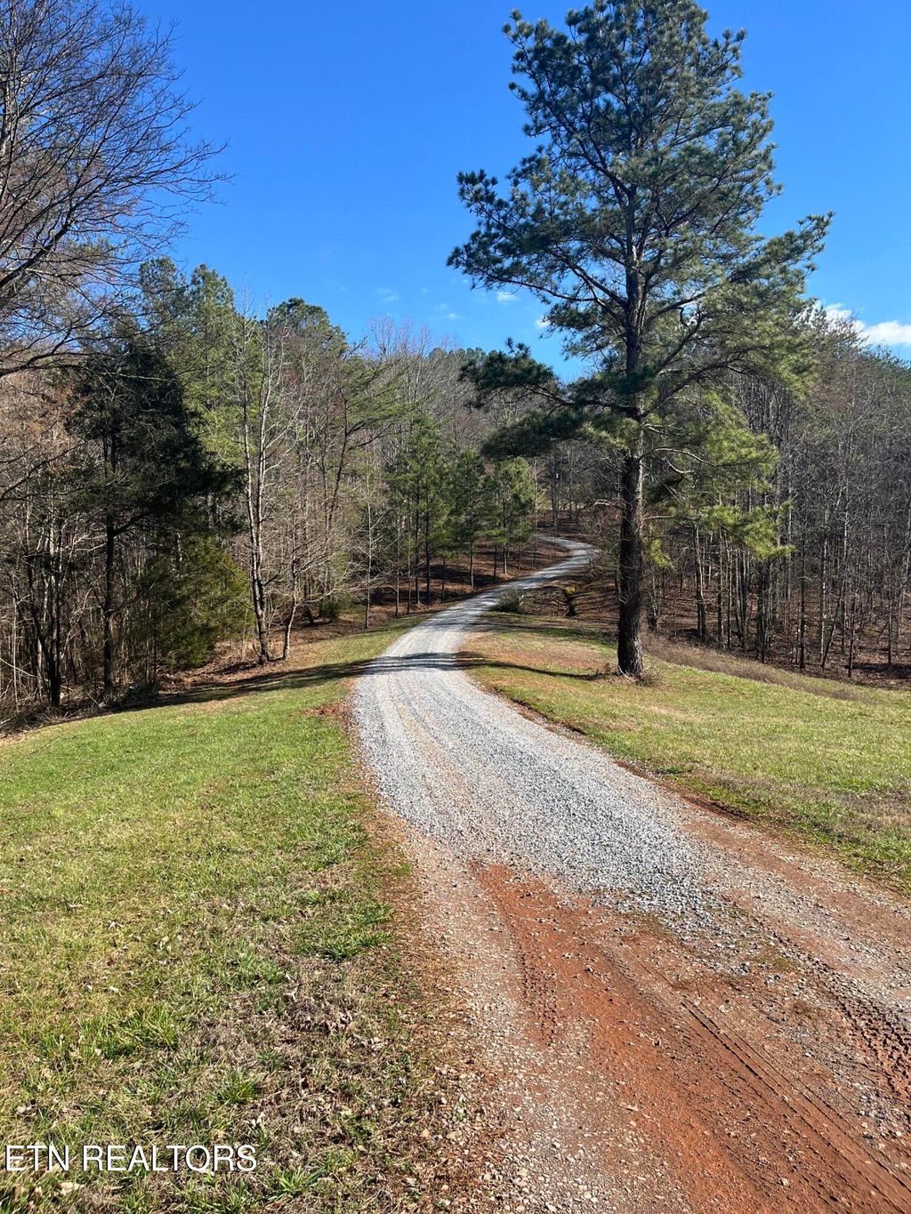 Photo of 351 CR 758, Riceville, TN 37370 (MLS # 1330838)