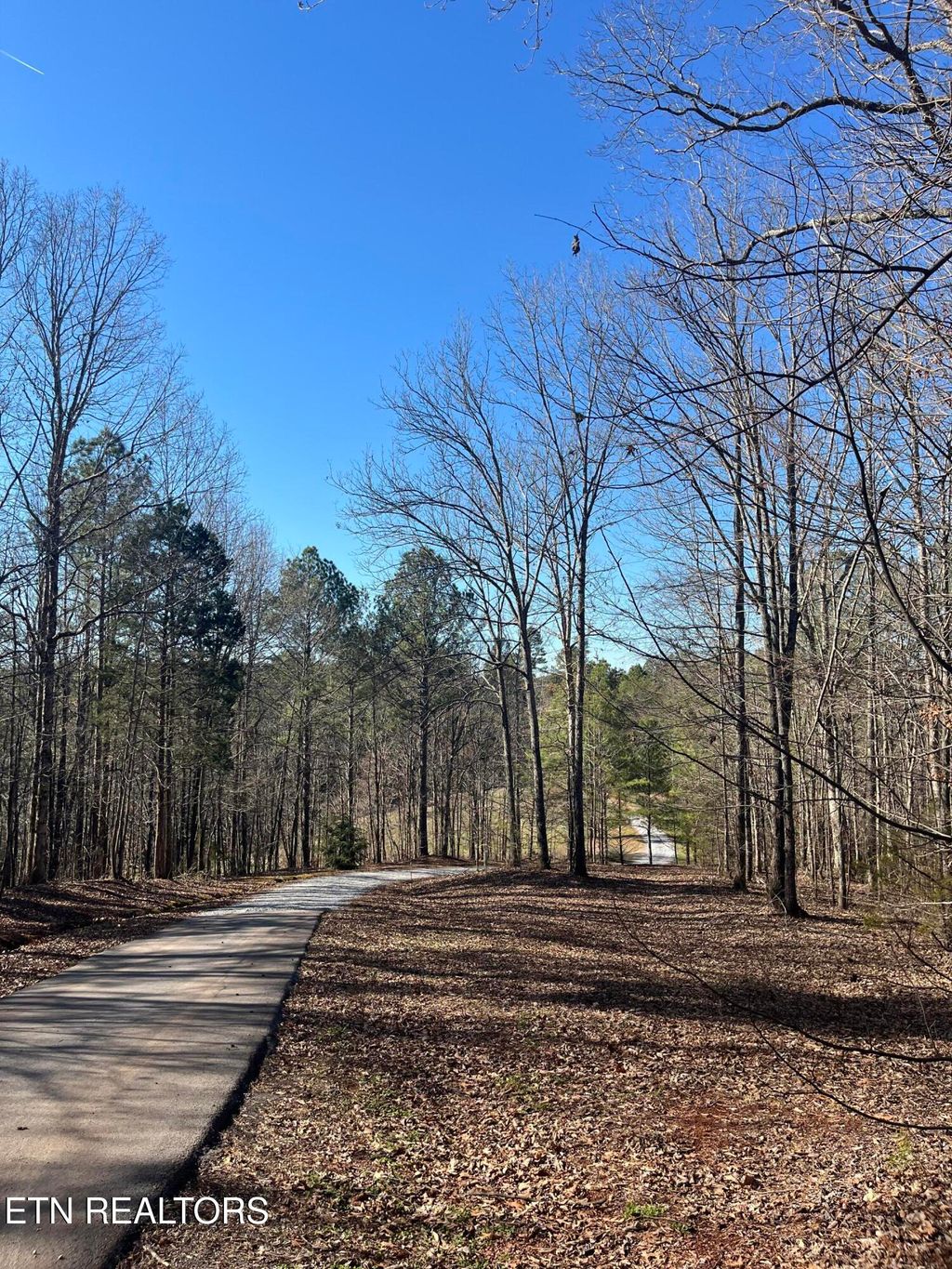 Photo of 351 CR 758, Riceville, TN 37370 (MLS # 1330838)