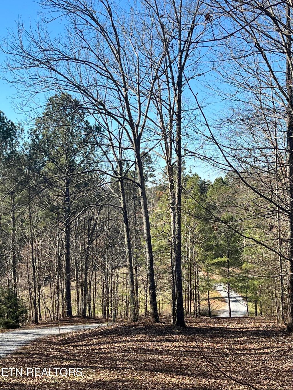 Photo of 351 CR 758, Riceville, TN 37370 (MLS # 1330838)