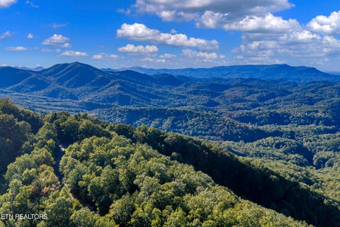 Tiny photo for Laurel Top Way, Sevierville, TN 37862 (MLS # 1357294)