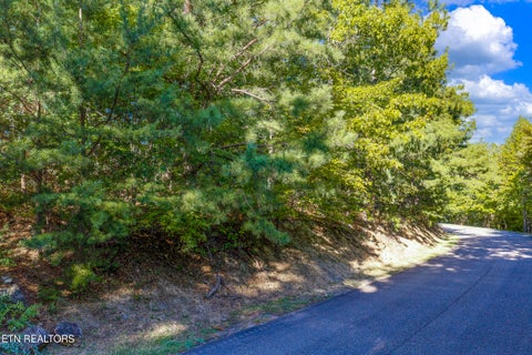 Photo of Laurel Top Way, Sevierville, TN 37862 (MLS # 1357294)