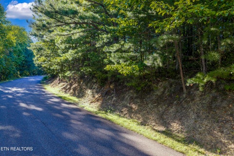 Tiny photo for Laurel Top Way, Sevierville, TN 37862 (MLS # 1357294)
