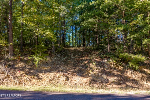 Tiny photo for Laurel Top Way, Sevierville, TN 37862 (MLS # 1357294)