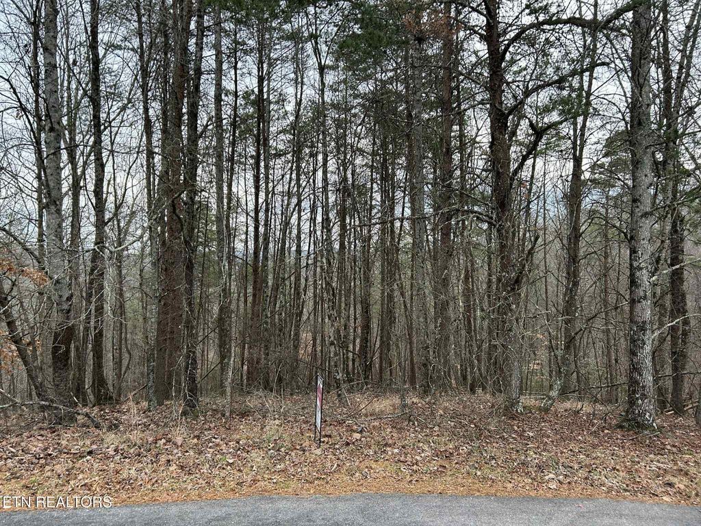 Photo of Black Hawk Drive, Ten Mile, TN 37880 (MLS # 1325319)