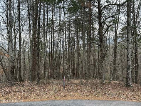 Photo of Black Hawk Drive, Ten Mile, TN 37880 (MLS # 1325319)