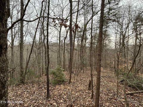Tiny photo for Black Hawk Drive, Ten Mile, TN 37880 (MLS # 1325319)
