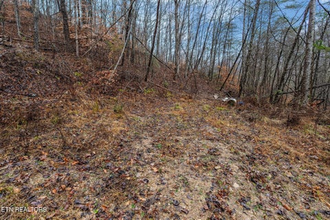 Tiny photo for 7300 Snake Hollow Rd, Sneedville, TN 37869 (MLS # 1350169)