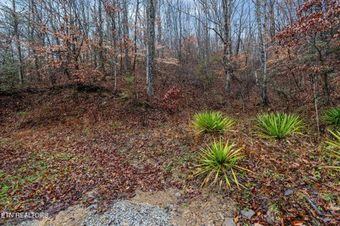 Tiny photo for 7300 Snake Hollow Rd, Sneedville, TN 37869 (MLS # 1350169)