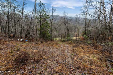 Tiny photo for 7300 Snake Hollow Rd, Sneedville, TN 37869 (MLS # 1350169)