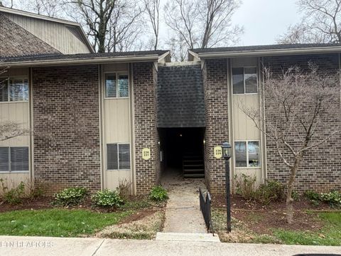 Photo of 3636 Taliluna Ave #227, Knoxville, TN 37919 (MLS # 1333341)