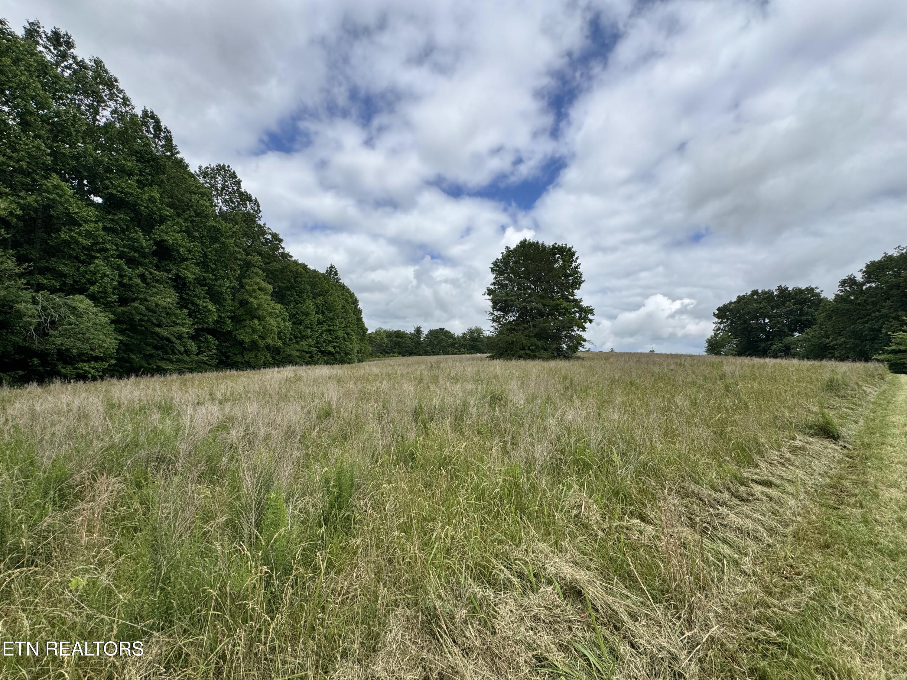 1759 Meister Hills Rd Drive