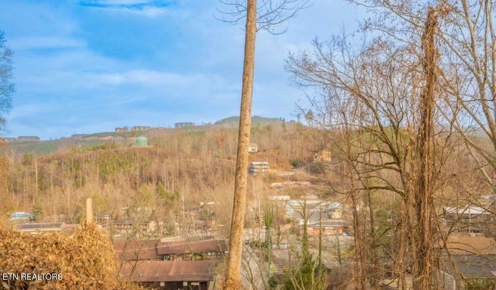 Photo of 230 Silverbell Lane, Gatlinburg, TN 37738 (MLS # 1332042)