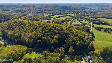 Tiny photo for 115 Suddath Rd, Harriman, TN 37748 (MLS # 1359384)