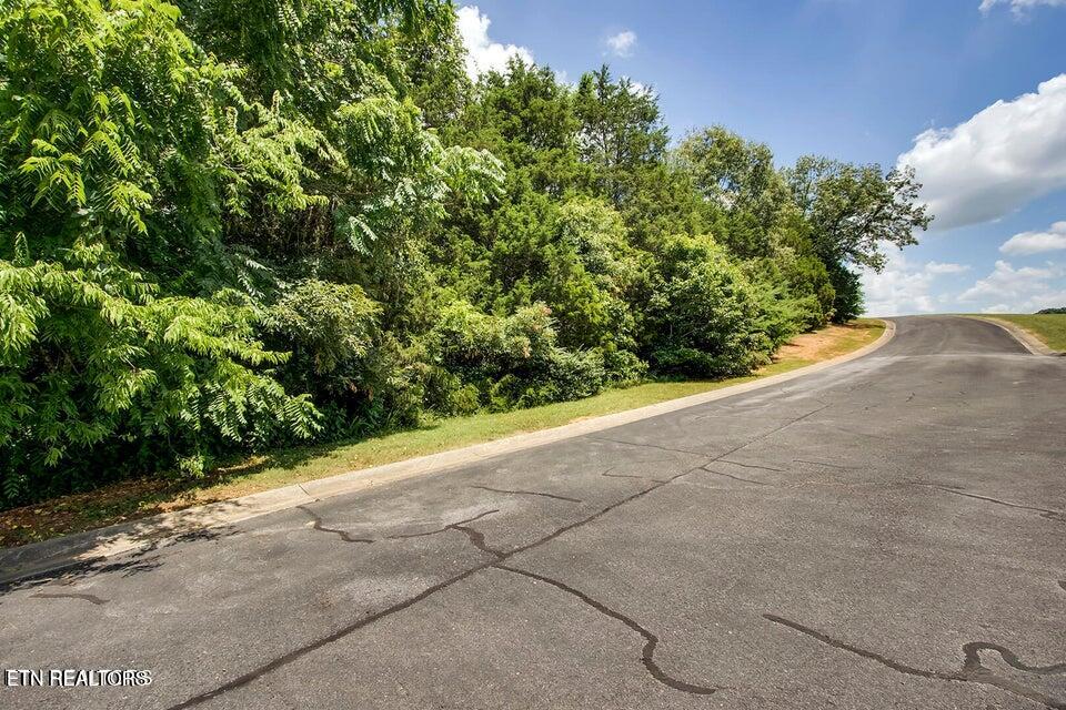 154 Volunteer Lane