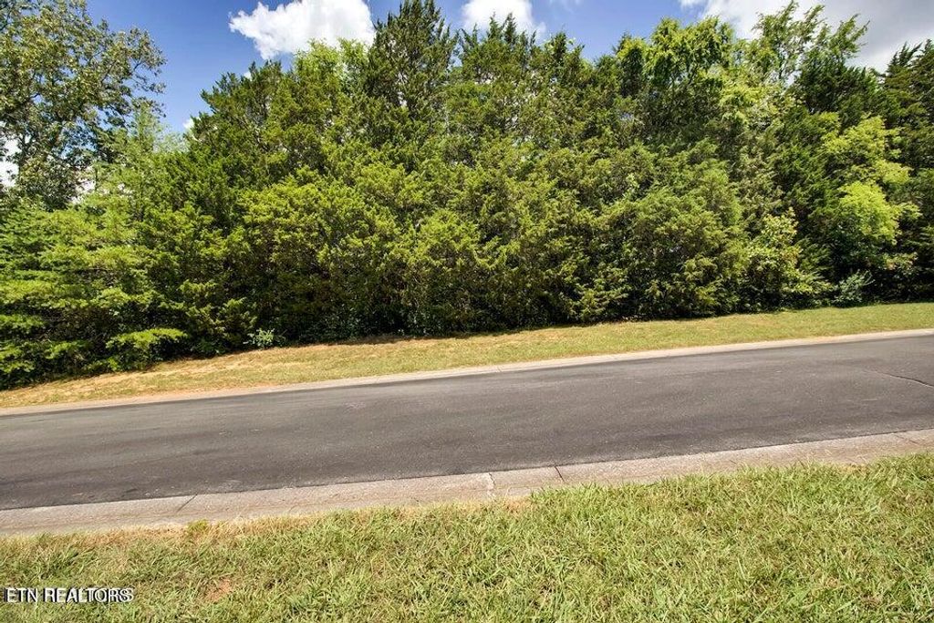 Photo of 154 Volunteer Lane, Vonore, TN 37885 (MLS # 1310914)