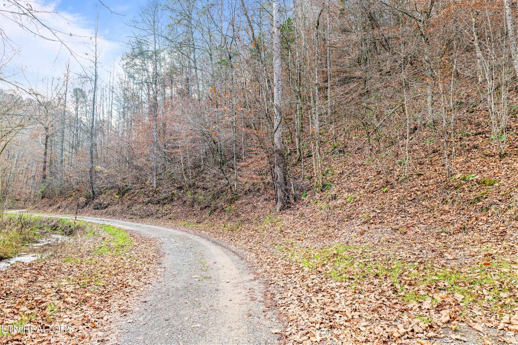 Photo of Ramsey Hollow Rd, Harrogate, TN 37752 (MLS # 1321942)