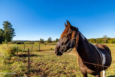 Tiny photo for 1165 Spring Rd, Madisonville, TN 37354 (MLS # 1359783)