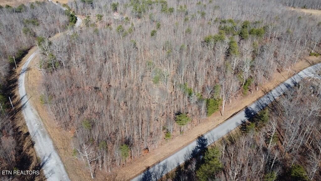 Photo of 46 Gray Rock View, Pikeville, TN 37367 (MLS # 1327750)