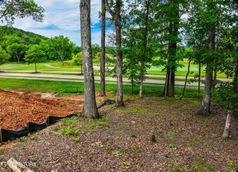 Photo of 702 Blackrock, Loudon, TN 37774 (MLS # 1337733)