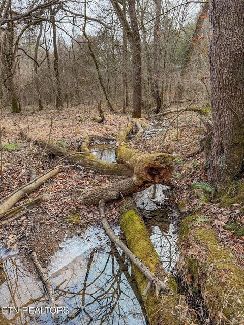 Tiny photo for 44 Cedarwood Circle, Newport, TN 37821 (MLS # 1328260)