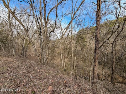 Tiny photo for 44 Cedarwood Circle, Newport, TN 37821 (MLS # 1328260)